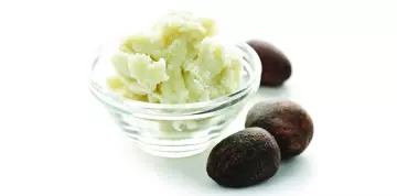 Sheavaj (Vitellaria paradoxa)