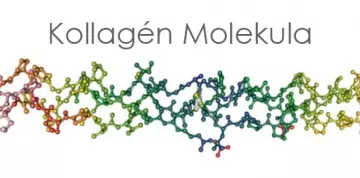 Ami a kollagénről tudni kell